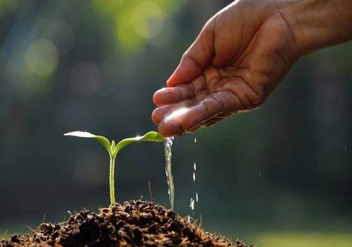 آبیاری مزارع