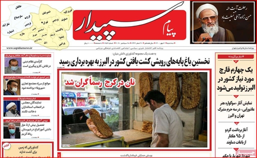 سپیدار