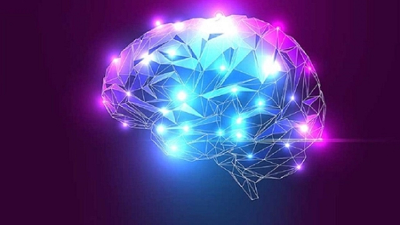کدام عملکرد مغز در مدیریت بحران نقش کلیدی دارد؟