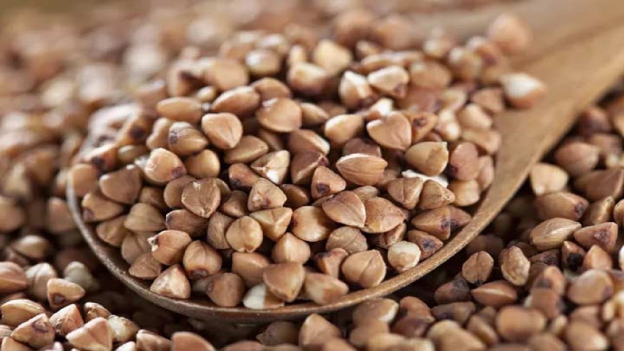 گندم سیاه؛ انبار مواد معدنی تا دوست صمیمی قلب! +عکس