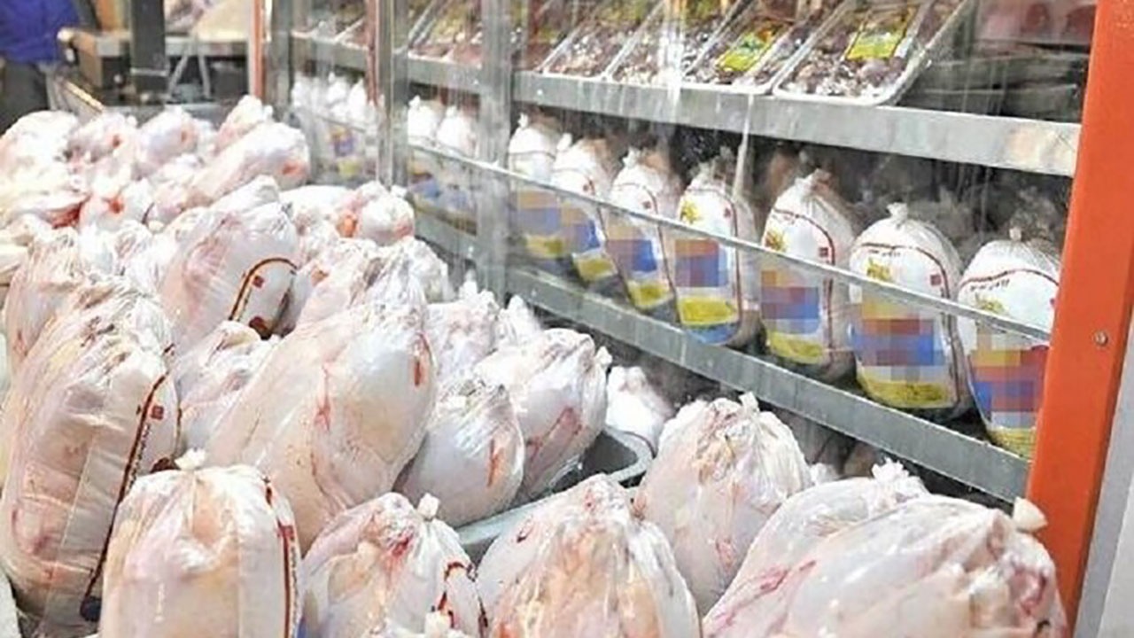 تشکل 542 پرونده تخلف برای واحدهای عرضه مرغ و گوشت در هرمزگان