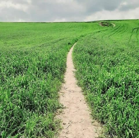 تصاویری از روستای گوگل در ایران