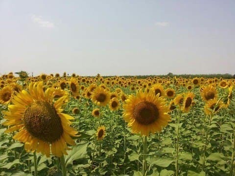 تصاویری از روستای گوگل در ایران