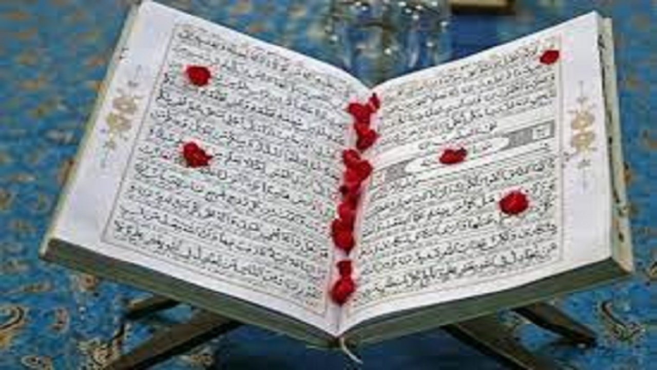 سینا طباخی مقام اول مسابقات بین المللی قرآن کریم کرواسی
