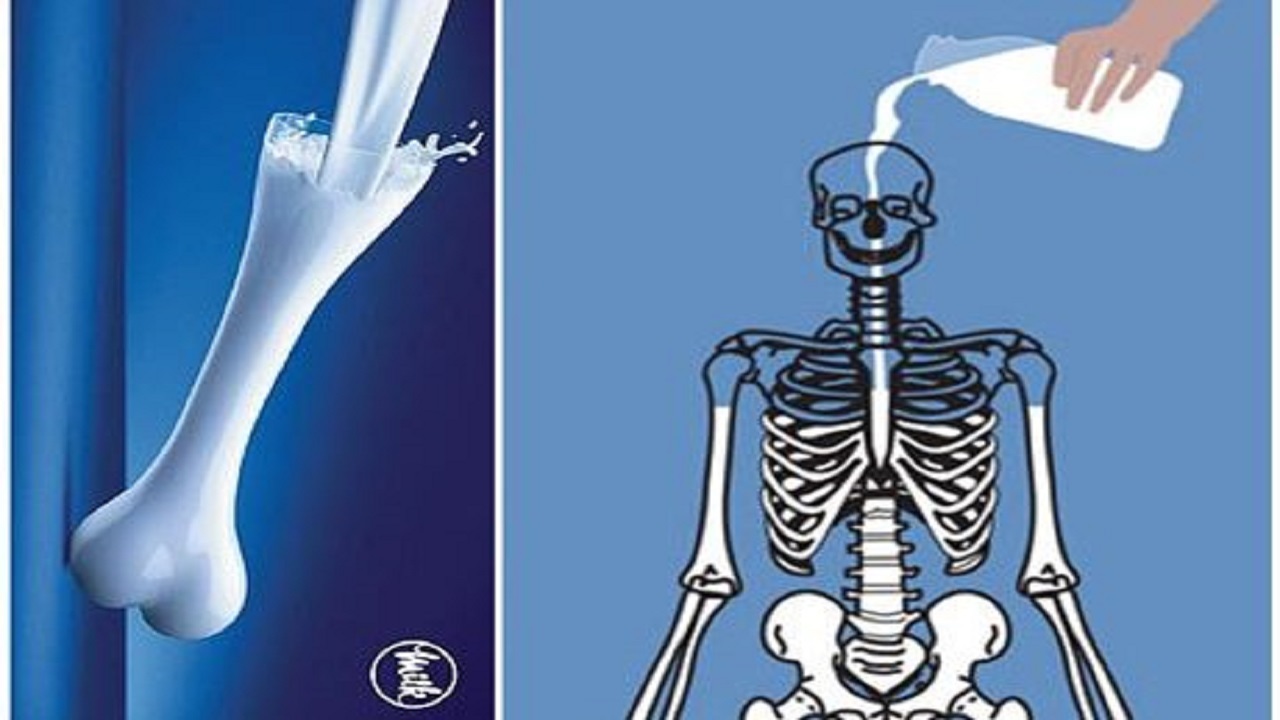 افزایش خطر پوکی استخوان پس از ۵۰ سالگی در افراد/ هفتم مهرماه روز جهانی شیر مدرسه نامگذاری شده است
