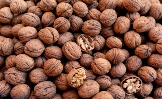 بازار پر رونق گردو در خراسان شمالی