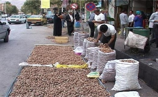بازار پر رونق گردو در خراسان شمالی