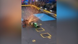 فیلمی جالب از شیپور نوازی خرس با استعداد