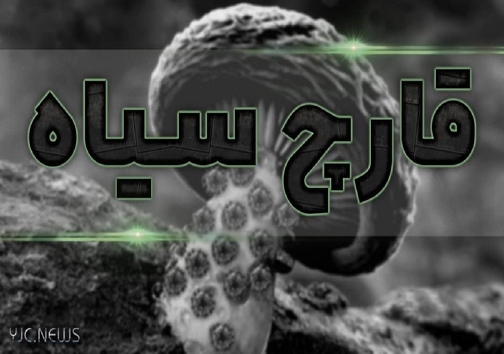 روزگار سیاه مبتلایان به قارچ سیاه