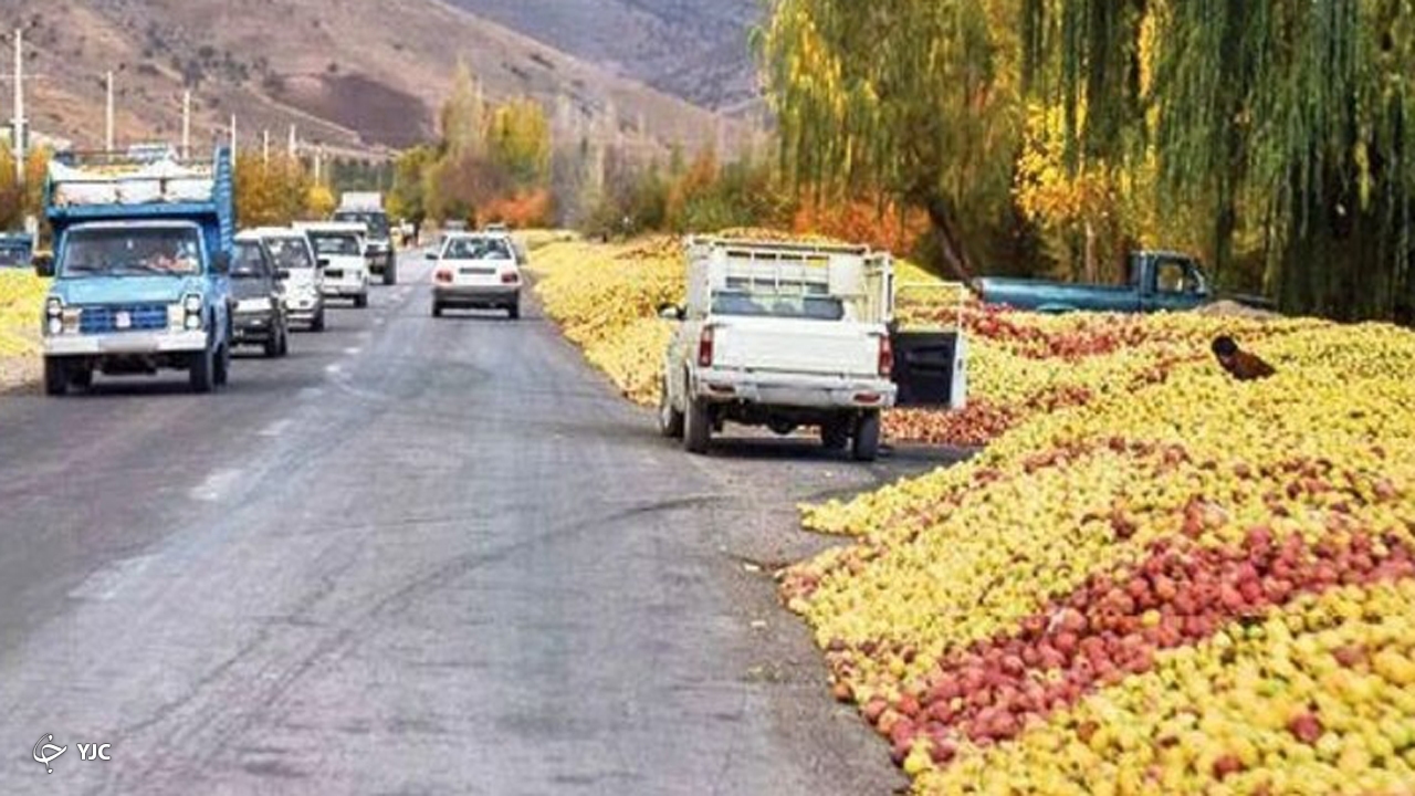 سیب صنعتی به کشور‌های همجوار صادر می‌شود