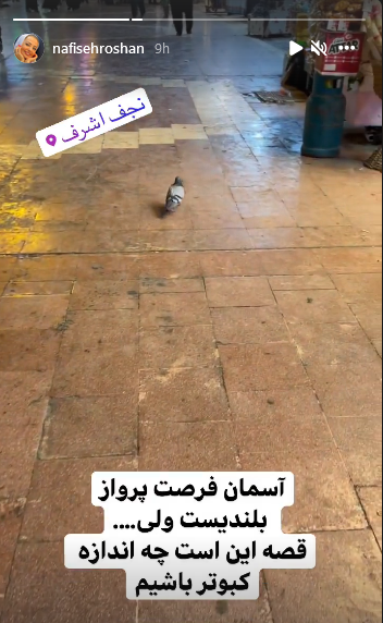 نفیسه روشن