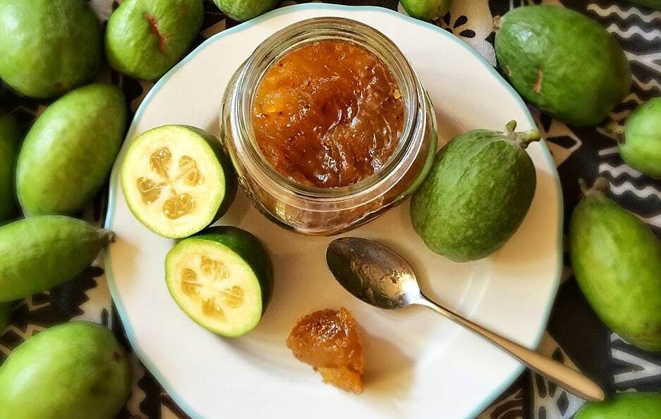 میوه &laquo;فیجوا&raquo; یا &laquo;فوجیا&raquo;؛ از خواص درمانی تا نحوه کاشت و نگهداری