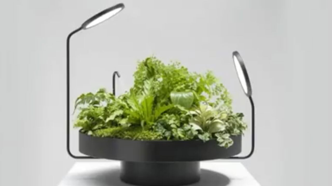 باغچه هوشمند با سیستم آبیاری و تابش خودکار + فیلم