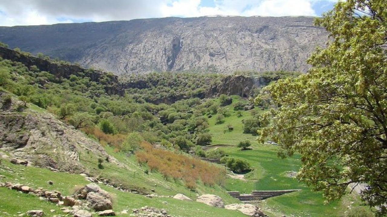 تشدید گشت های حفاظتی از عرصه های جنگلی شهرستان دره شهر