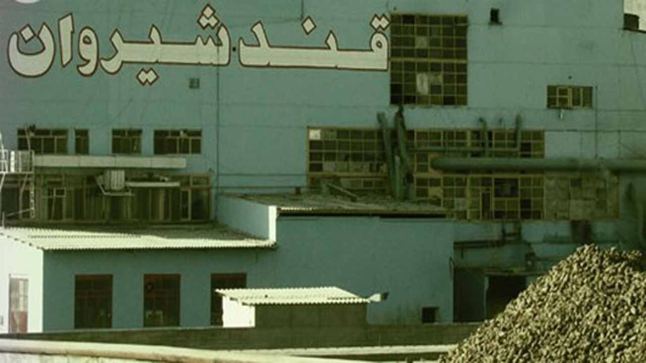 کارخانه قند شیروان امسال ۲۰۰ هزار تن چغندر خریداری می‌کند