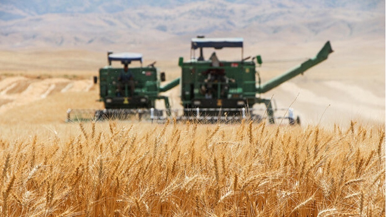 کم بارشی،تهدیدی جدی برای کشاورزان