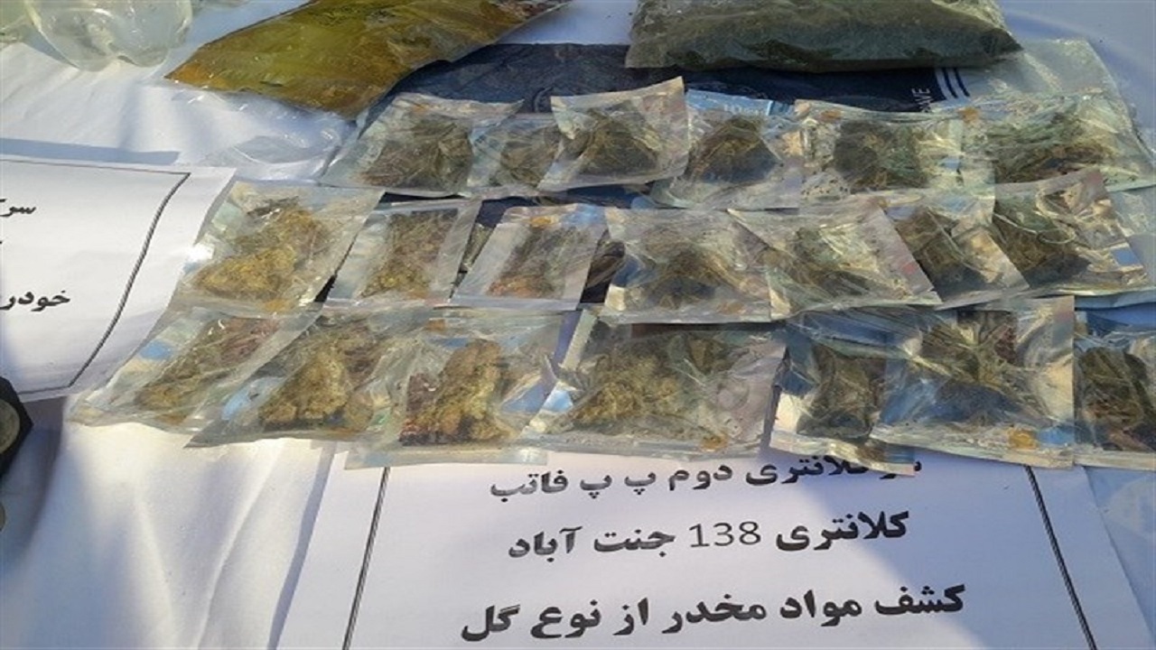 کوچ مواد فروشان از پارک ها به فضای مجازی/ فروش  مواد مخدر از حشیش تا ماری جوانا در اینستاگرام+ فیلم