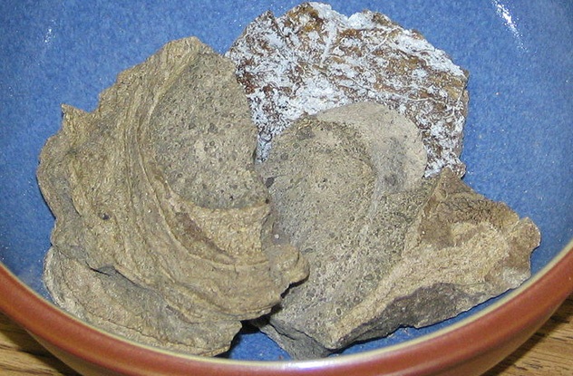عنبر
