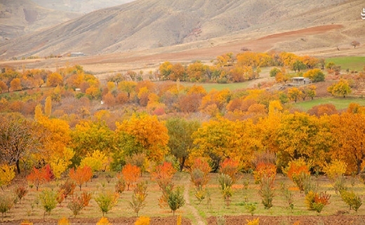 پاییز دلچسب روستای شیان کردستان+عکس