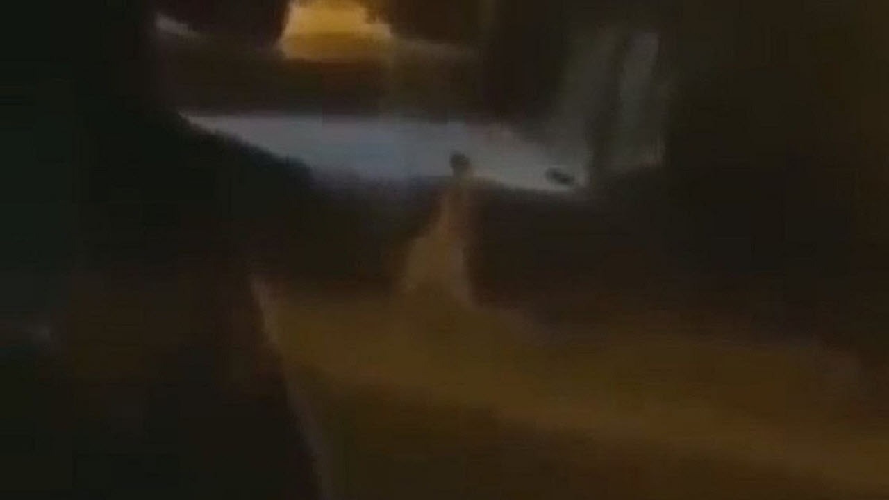 شوخی هالووینی با لباس شبح فاجعه رقم زد