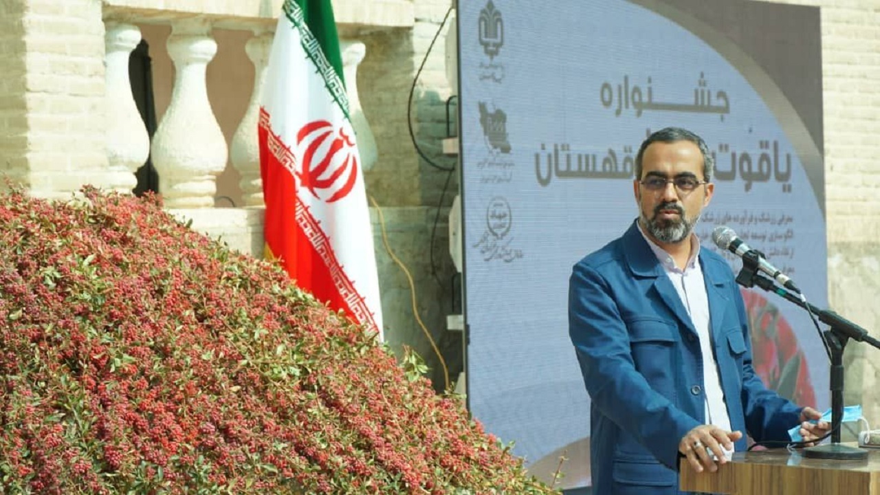 یاقوت سرخ خراسان جنوبی در پیچ و خم بی توجهی / رونق اقتصادی زرشک نیازمند صنایع فرآوری