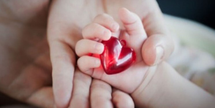 پازل گمشده در زندگی زوج های نابارور / «برکت» لبخند را به زندگی ۵۸ زوج نشاند