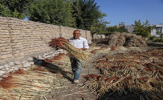 جارو&zwnj;هایی که گرد و غبار بیکاری را می&zwnj;زدایند
