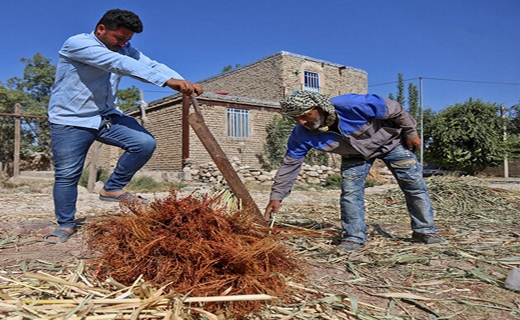 جارو&zwnj;هایی که گرد و غبار بیکاری را می&zwnj;زدایند