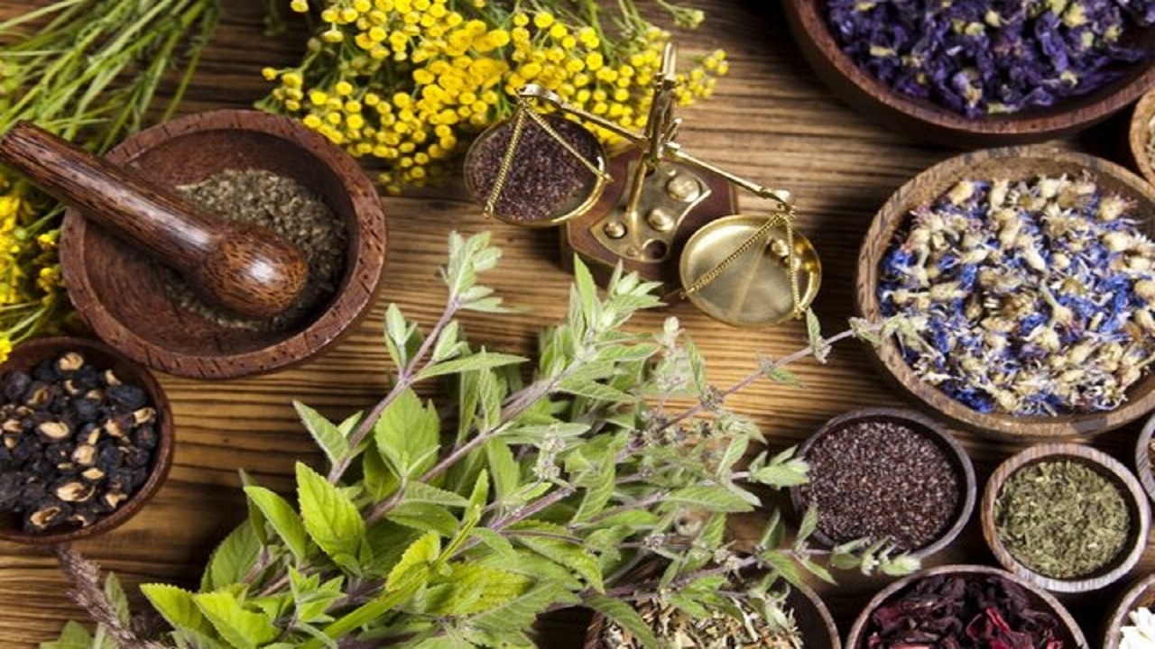 ۵ اصل مهم قبل از مصرف دارو‌های گیاهی