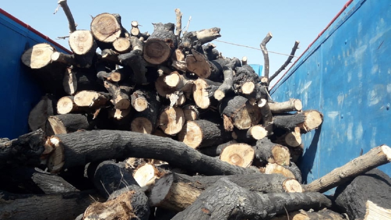 دست سارق از درختان جنگلی دزفول کوتاه شد