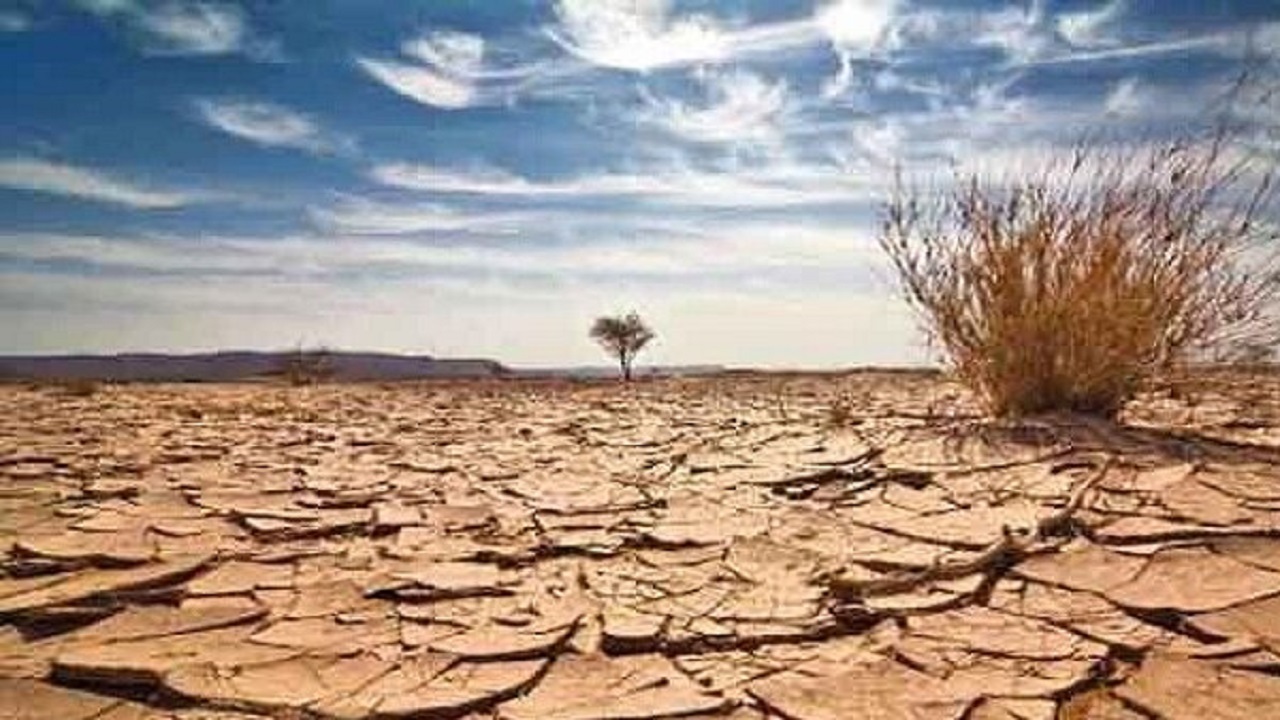 کاهش ۱۰۰ درصدی میانگین وزنی بارندگی سال زراعی جاری