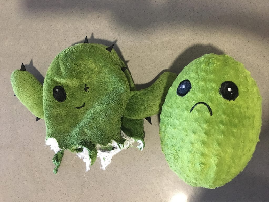 عروسک کاکتوس