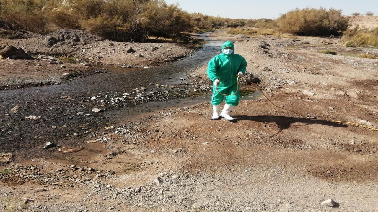 برگزاری مانور مقابله با بیماری آنفلوآنزای پرندگان دربردسیر