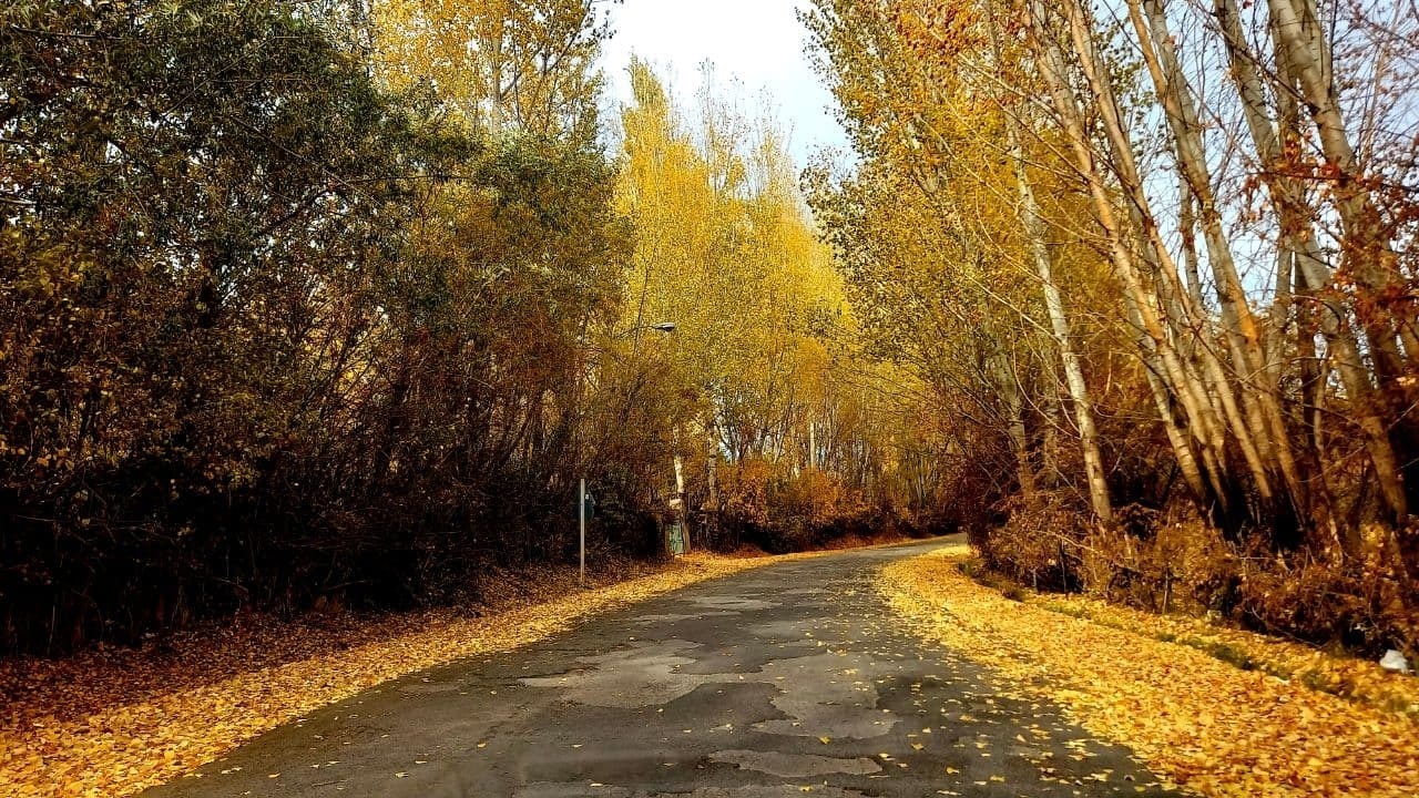 از