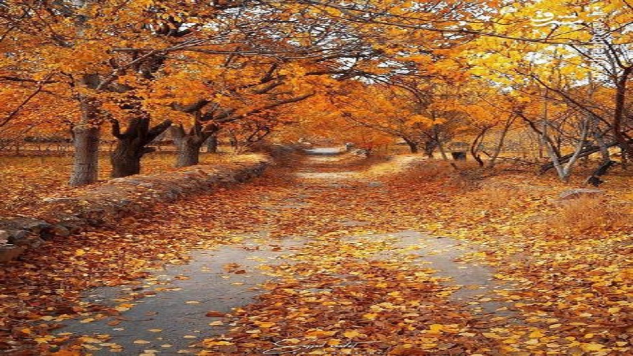 نقاشی رنگ ها در طبیعت پائیزی طرقبه
