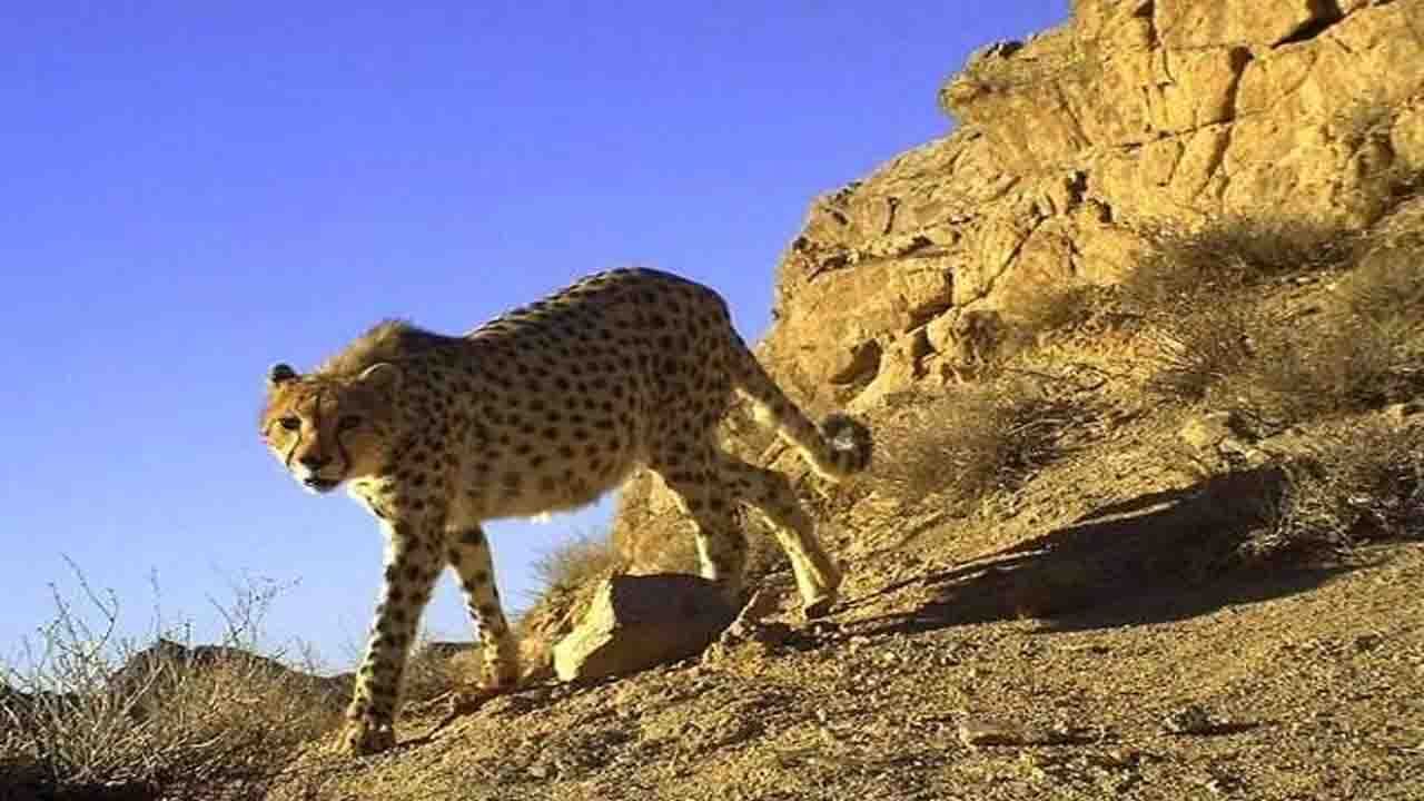 ذخیره‌گاه دنا با مشارکت جوامع محلی احیا می‌شود