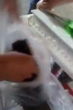 شوک خانواده داغدار
