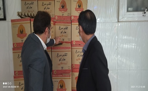 بازار مرغ