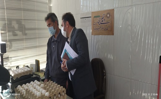 بازار مرغ 