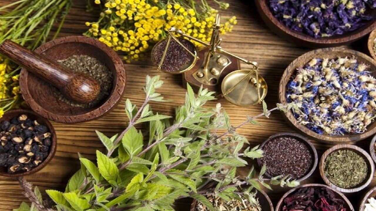 دارو های گیاهی