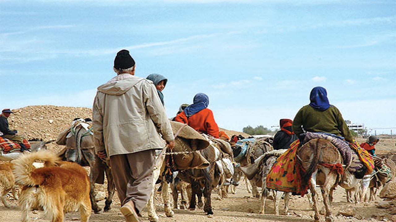 کوچ پاییزه عشایر فارس نیمه آبان آغاز می‌شود