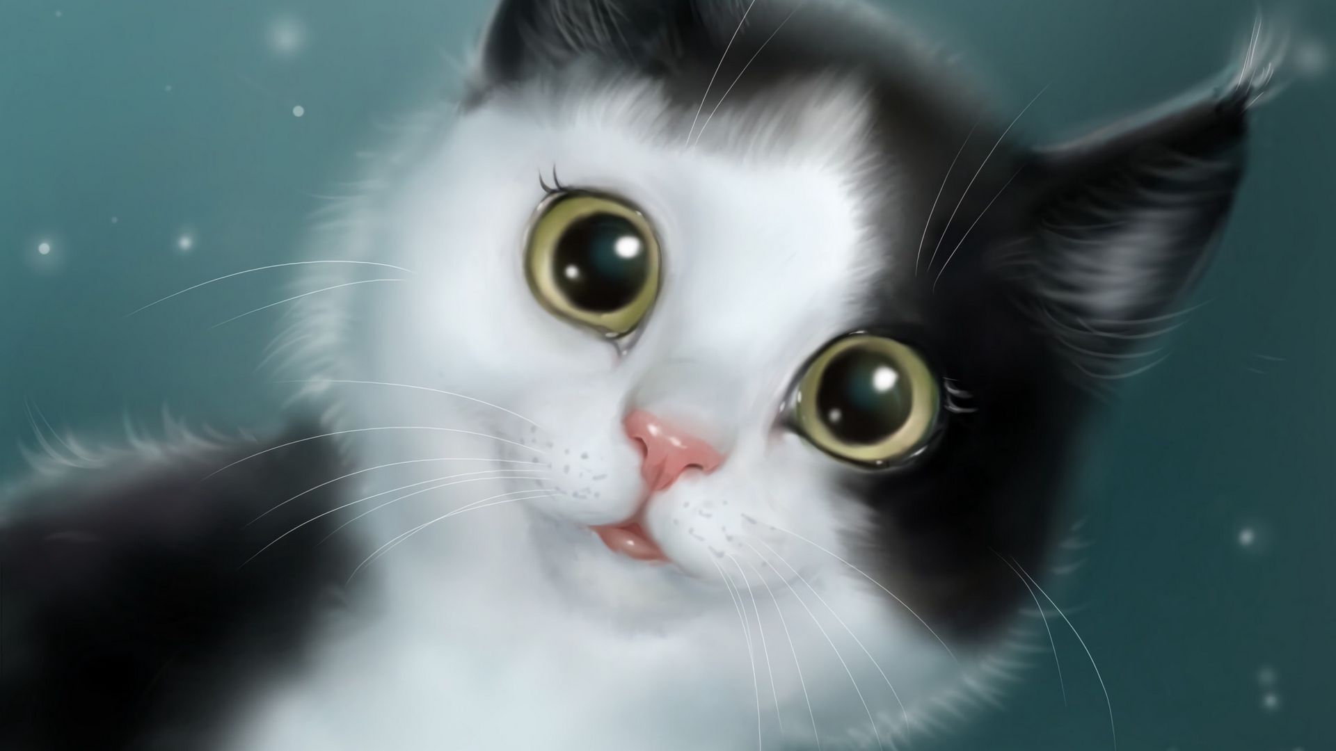 گربه