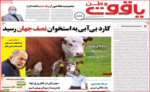 یاقوت وطن