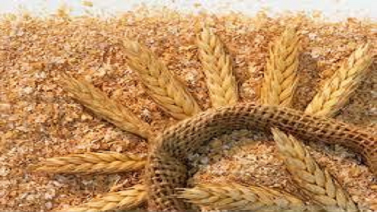 توزیع ۲۰ هزار تنی نهاده بین دامداران بابلی