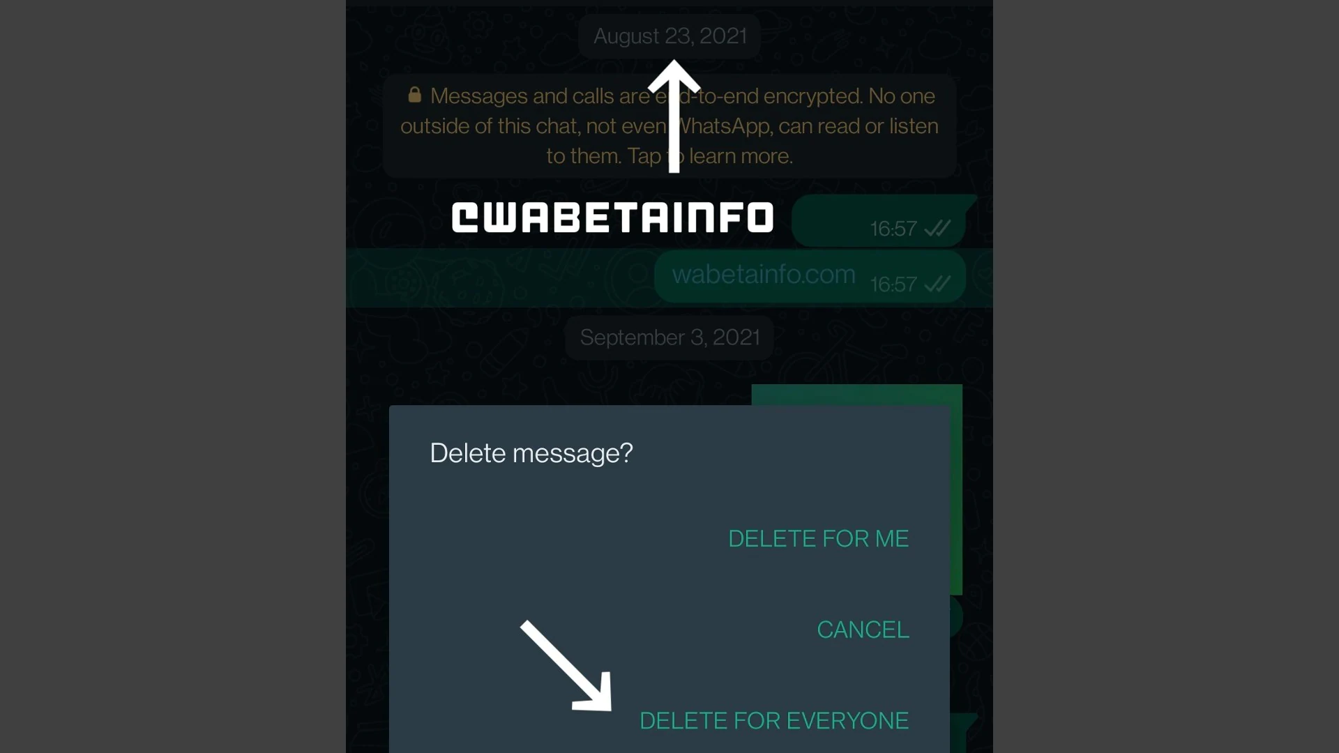 آپدیت بعدی واتساپ