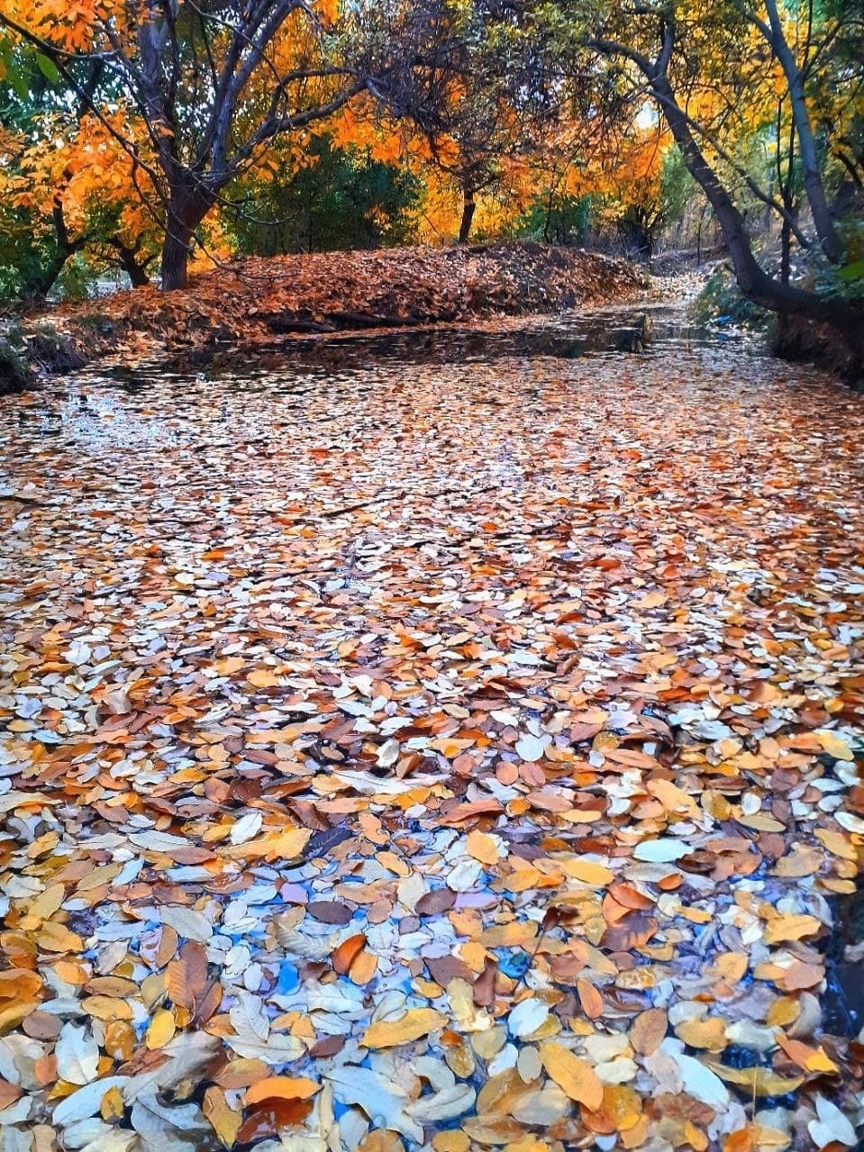 شیزند روستایی پاییزی در دل کوه + تصاویر