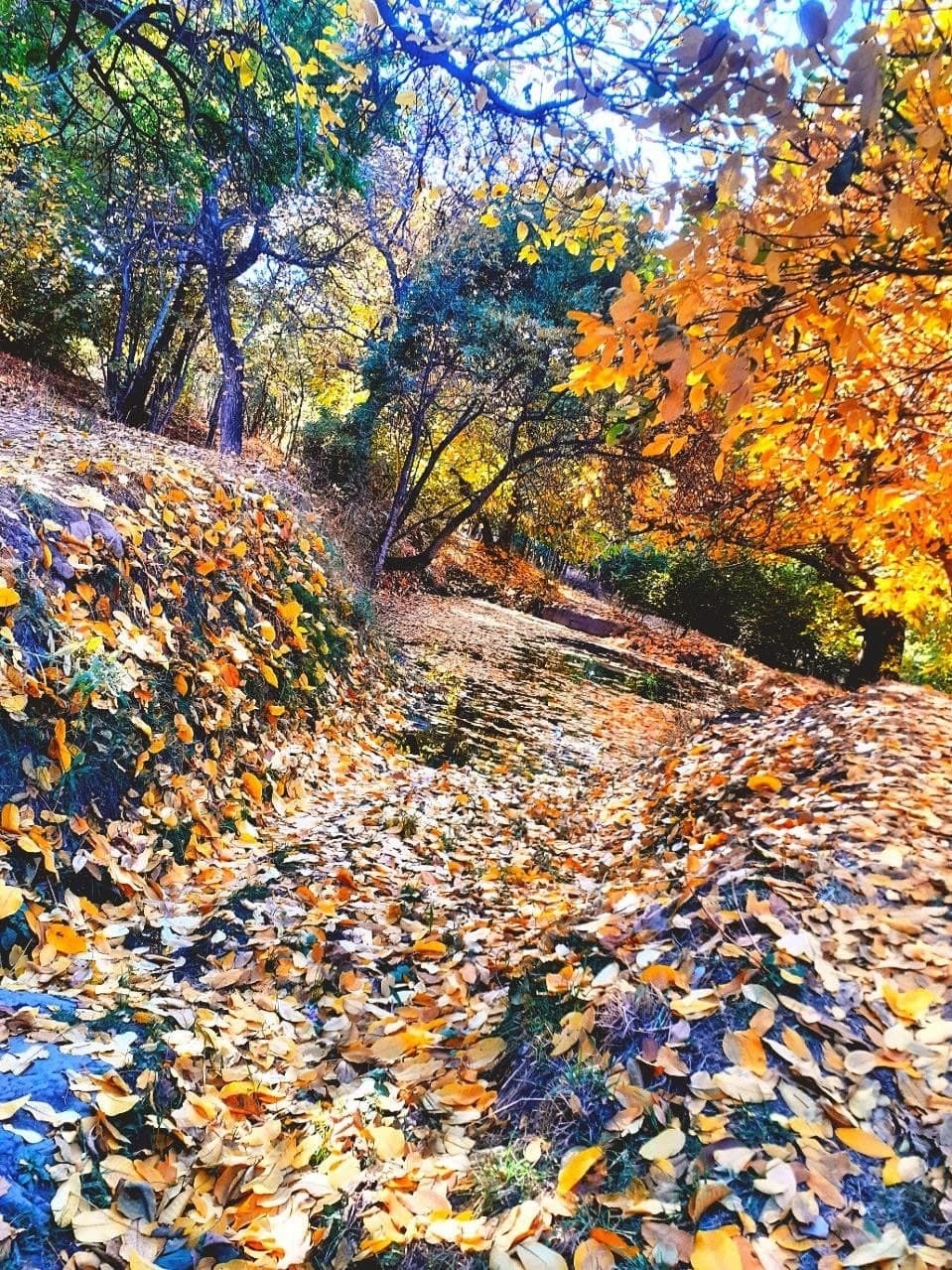 شیزند روستایی پاییزی در دل کوه + تصاویر