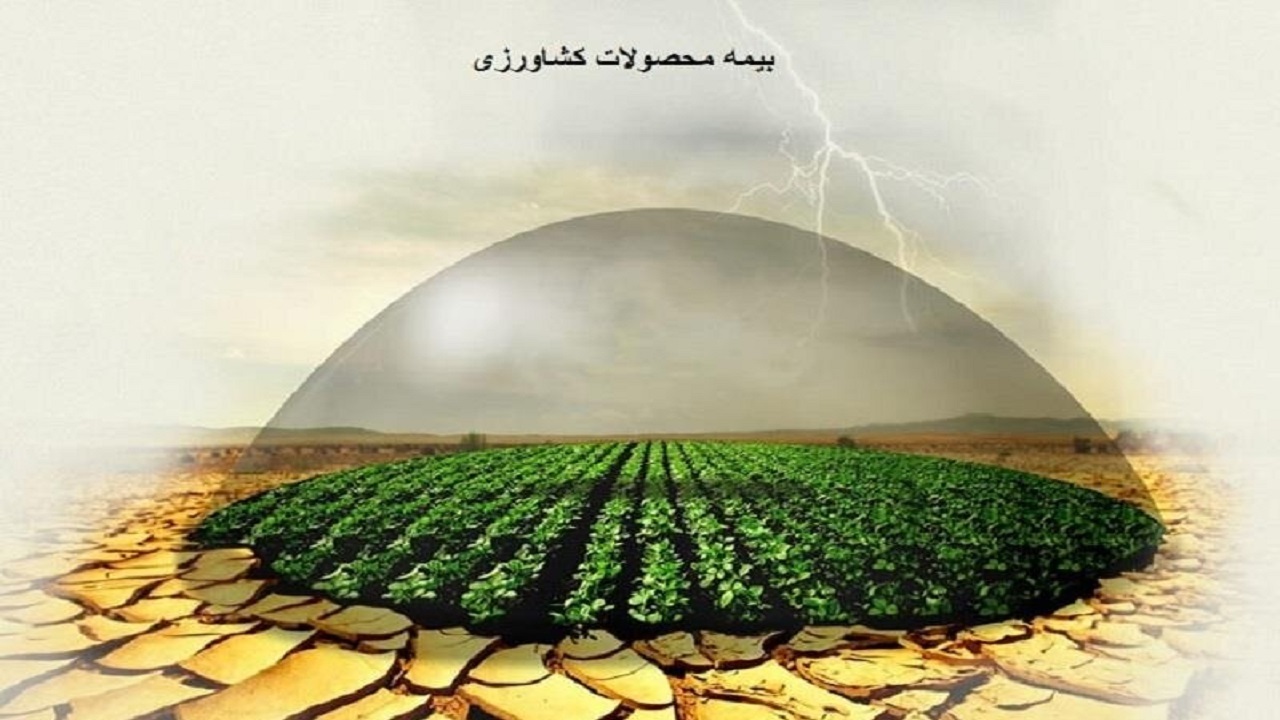 کشاورزان خوزستانی محصولات کشاورزی خود را بیمه کنند