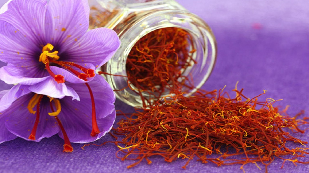 زعفران گرانترین ادویه زعفران گرانترین ادویه
