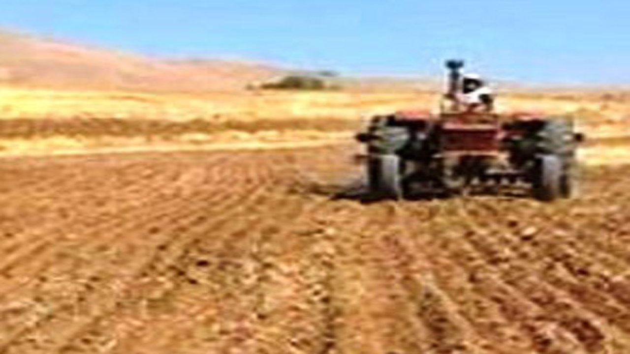 آغاز کاشت غلات در شهرستان نی‌ریز